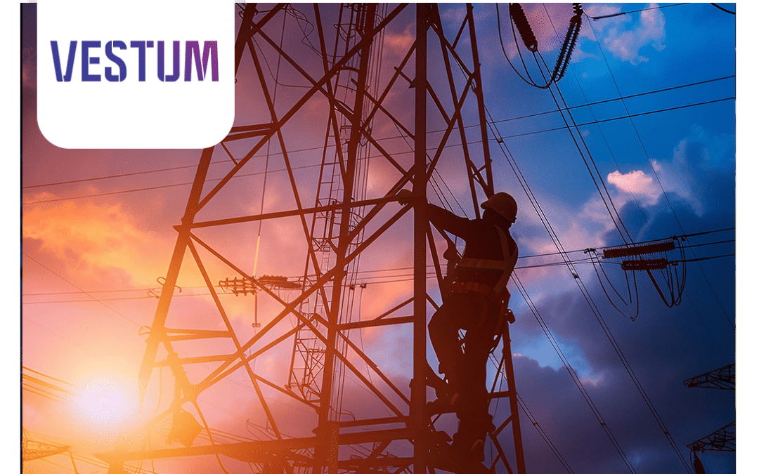 Vestum simplifies growth with our management system